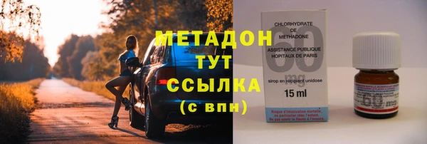 гидра Няндома